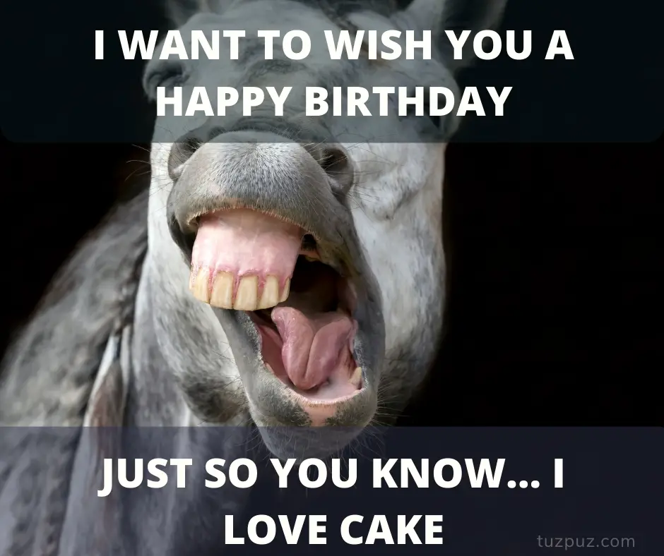 humorous and funny birthday wishes